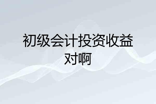 初级会计投资收益对啊