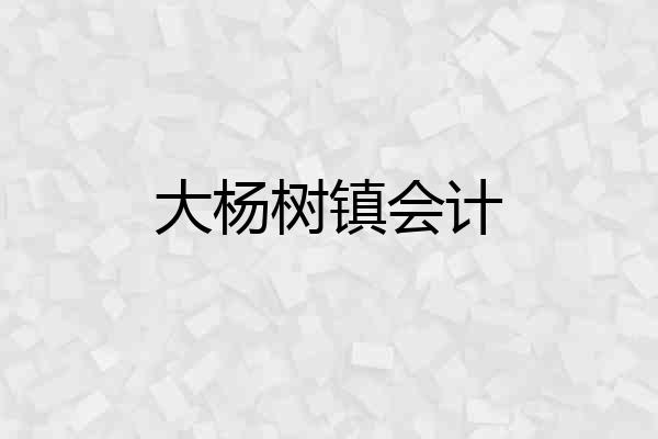 大杨树镇会计