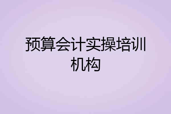 预算会计实操培训机构