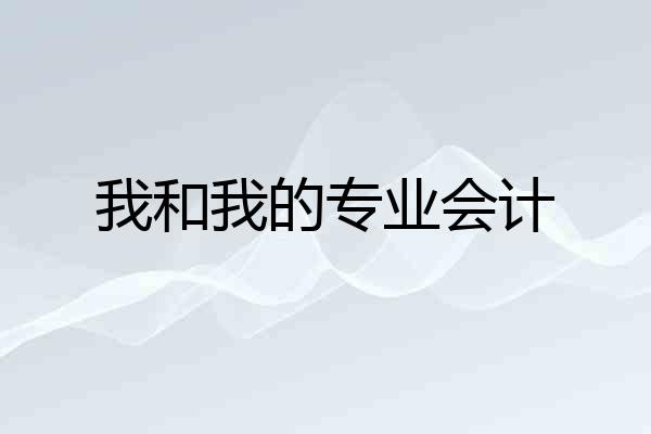 我和我的专业会计