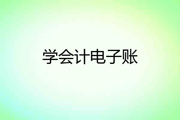 学会计电子账