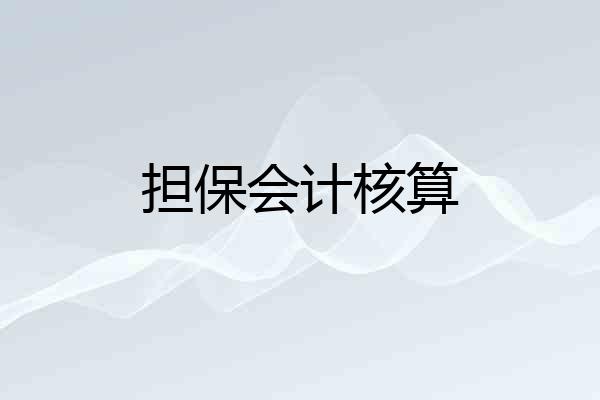 担保会计核算