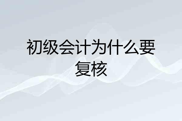 初级会计为什么要复核