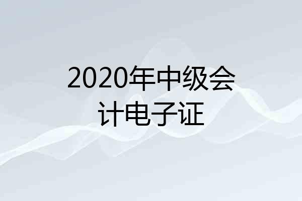 2020年中级会计电子证