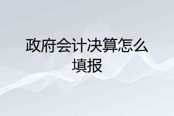 政府会计决算怎么填报