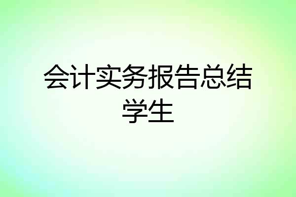 会计实务报告总结学生