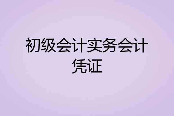 初级会计实务会计凭证