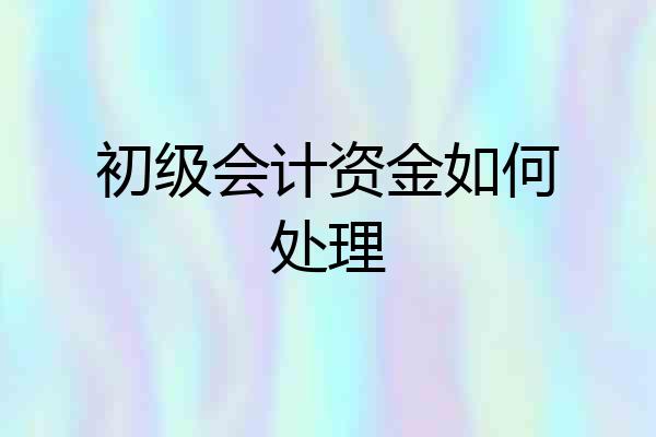 初级会计资金如何处理