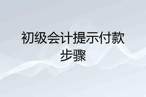 初级会计提示付款步骤