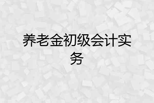 养老金初级会计实务