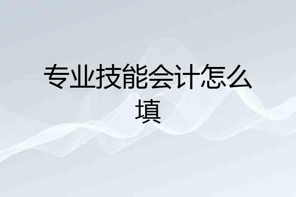 专业技能会计怎么填