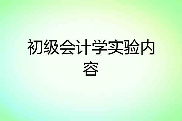 初级会计学实验内容