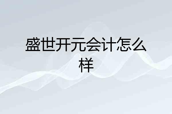 盛世开元会计怎么样
