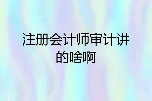 注册会计师审计讲的啥啊