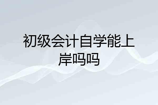 初级会计自学能上岸吗吗