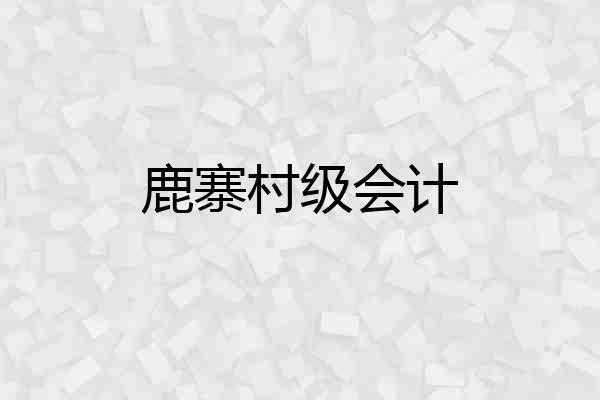 鹿寨村级会计