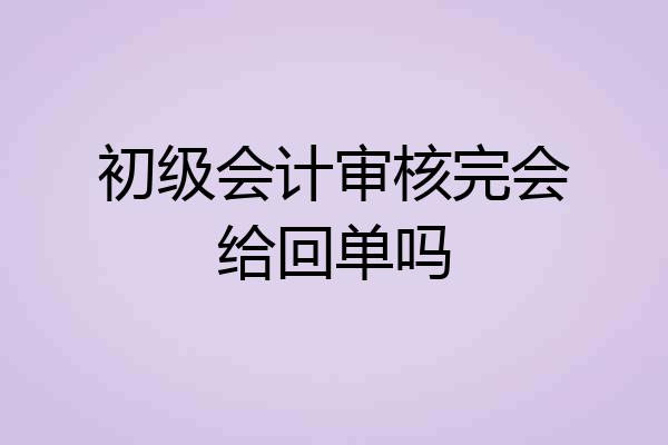 初级会计审核完会给回单吗