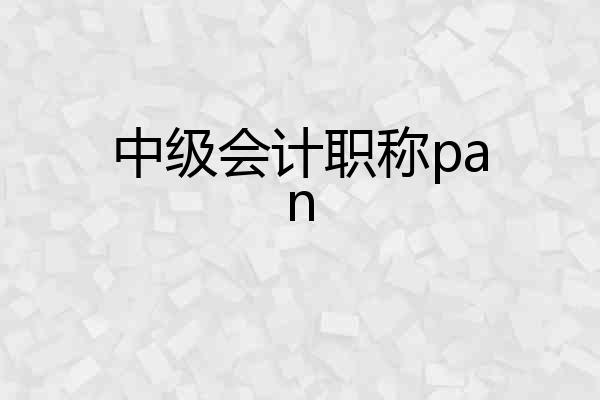 中级会计职称pan