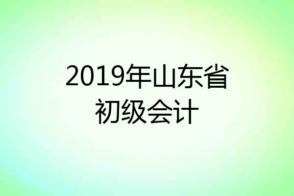 2019年山东省初级会计
