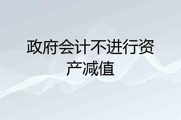 政府会计不进行资产减值