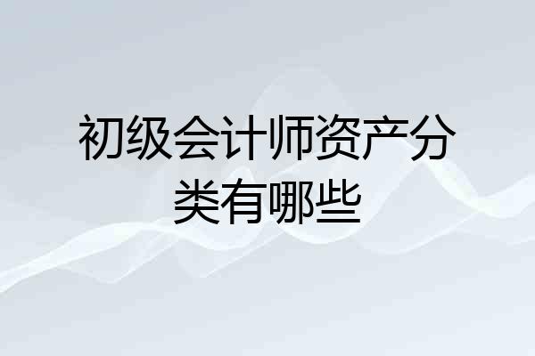 初级会计师资产分类有哪些