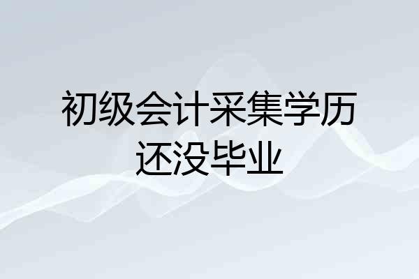 初级会计采集学历还没毕业
