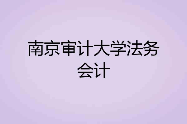 南京审计大学法务会计
