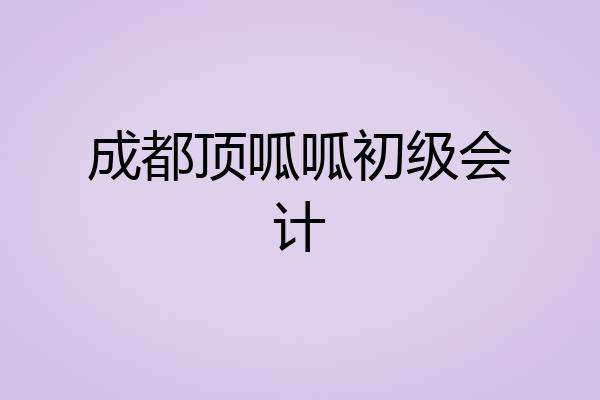 成都顶呱呱初级会计