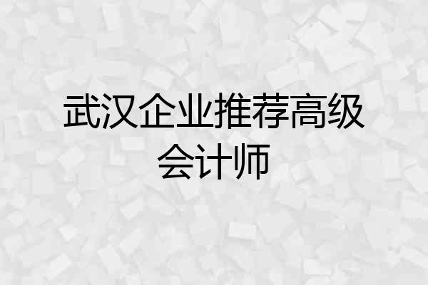 武汉企业推荐高级会计师