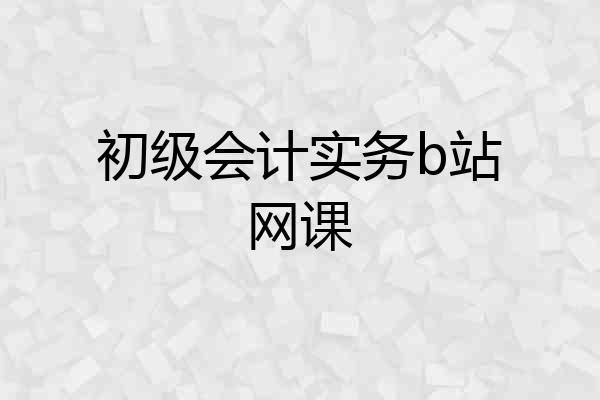 初级会计实务b站网课