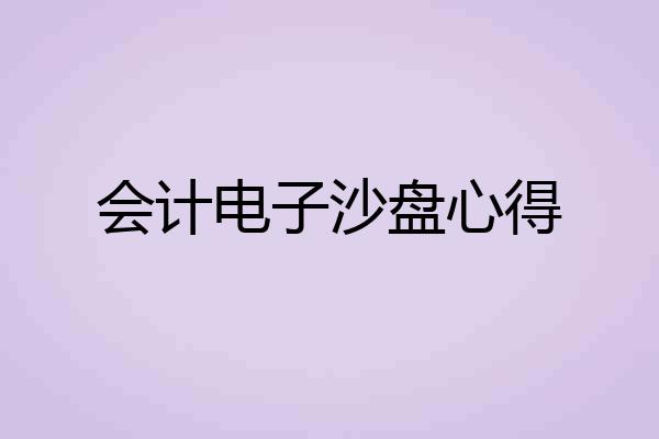 会计电子沙盘心得