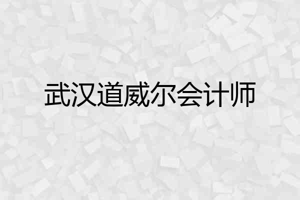 武汉道威尔会计师