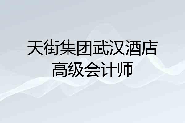 天街集团武汉酒店高级会计师