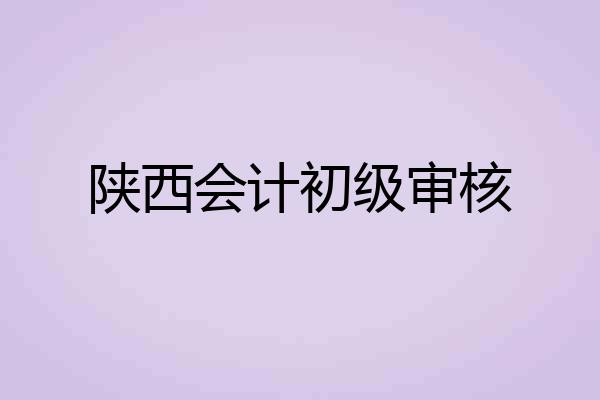 陕西会计初级审核