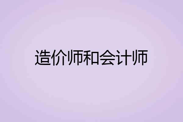 造价师和会计师