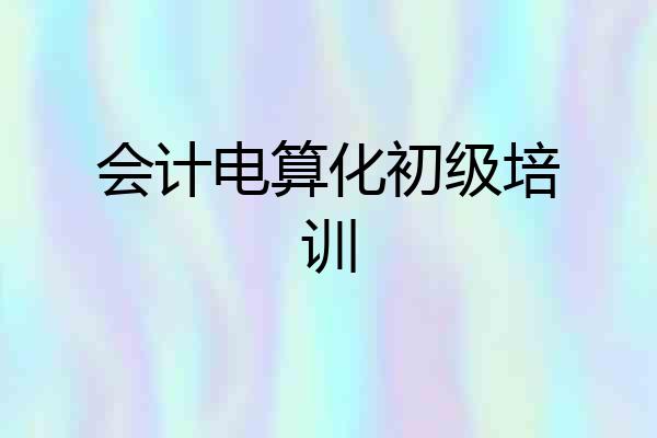 会计电算化初级培训