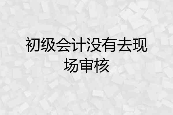 初级会计没有去现场审核