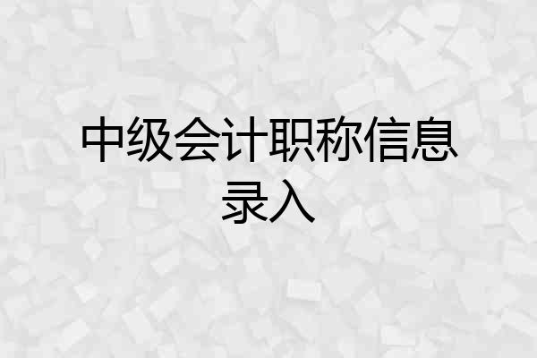 中级会计职称信息录入