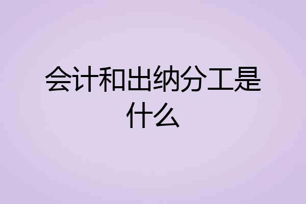 会计和出纳分工是什么
