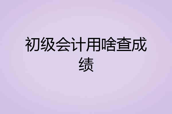 初级会计用啥查成绩