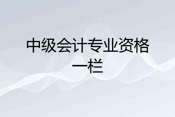 中级会计专业资格一栏