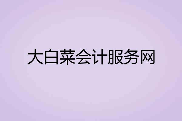 大白菜会计服务网
