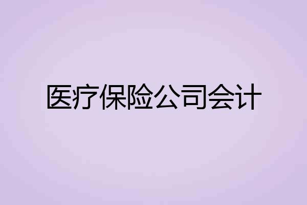 医疗保险公司会计