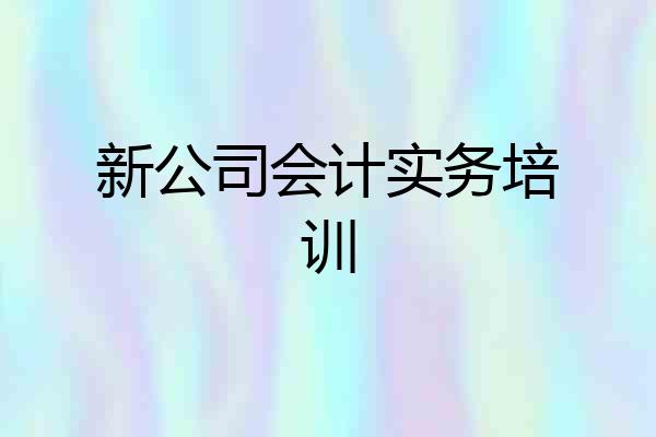 新公司会计实务培训