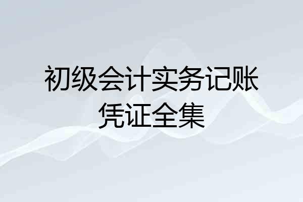 初级会计实务记账凭证全集