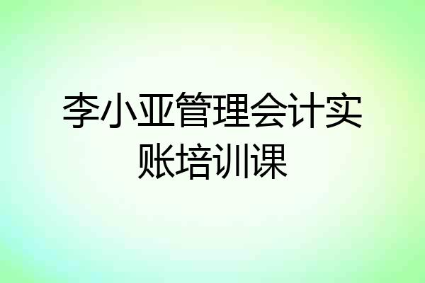 李小亚管理会计实账培训课