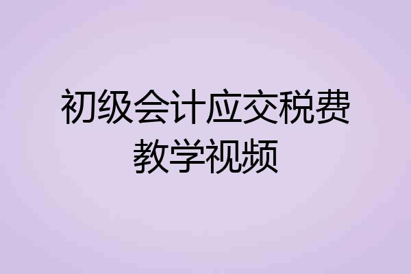 初级会计应交税费教学视频
