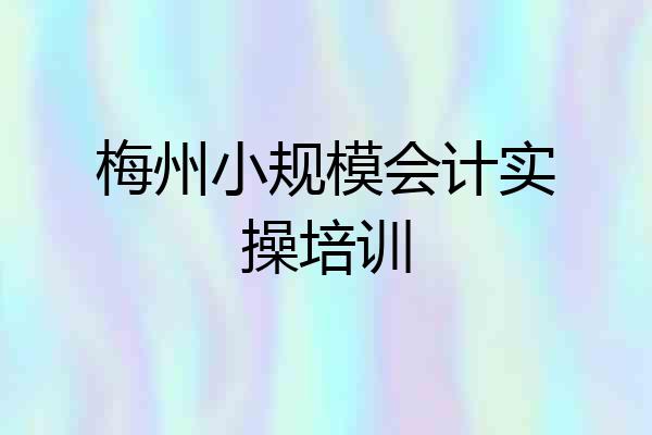 梅州小规模会计实操培训