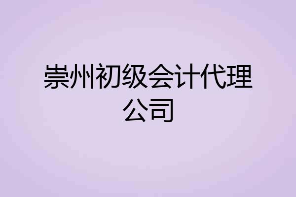 崇州初级会计代理公司
