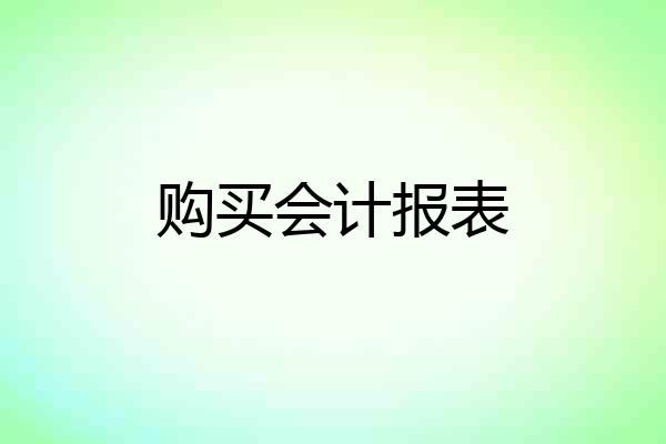 购买会计报表